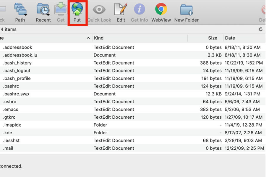 This picture shows the "Put" button in the Fetch toolbar; it is an icon of the Earth with an up arrow in front.