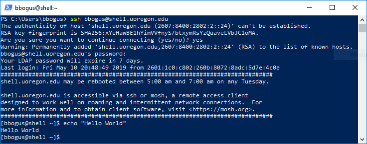 Example of logging into SSH from Windows using the ssh program. Shows: server fingerprint verification, user password authentication, and running a simple command as a test.