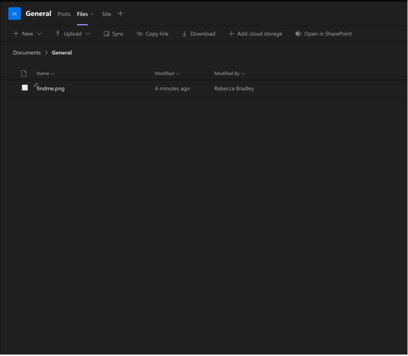 The file, findme.png, within the test team files tab view