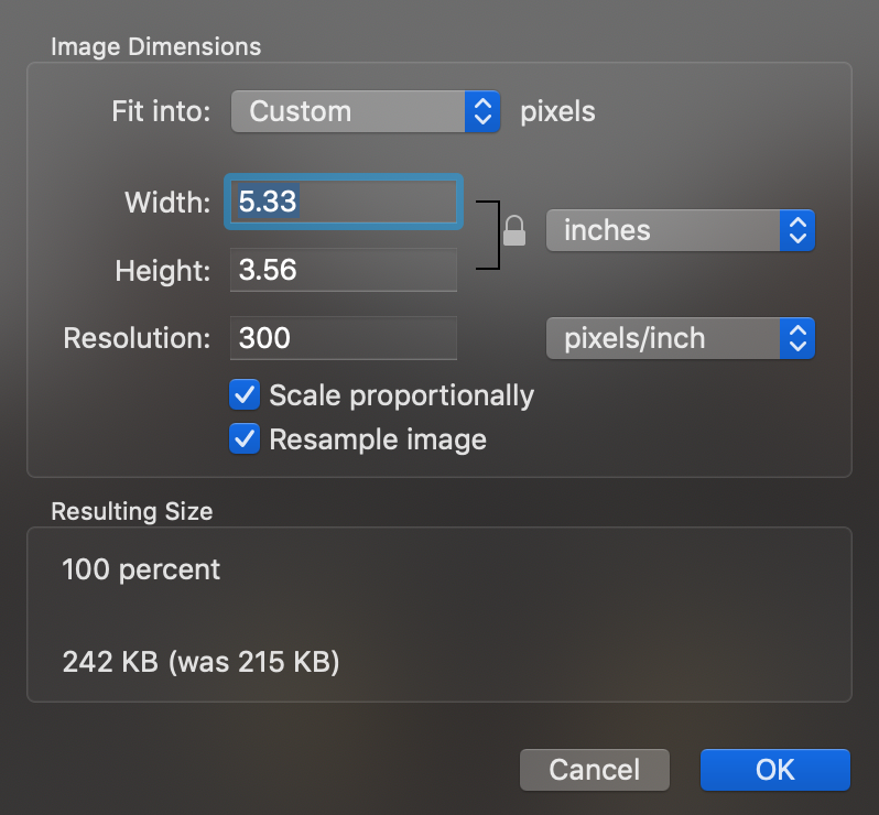 Preview application with the Adjust Size tool opened.
