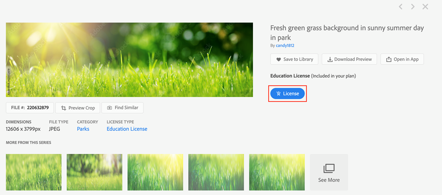 The License button from the search item content view