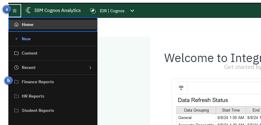 Cognos Finance Content Navigation