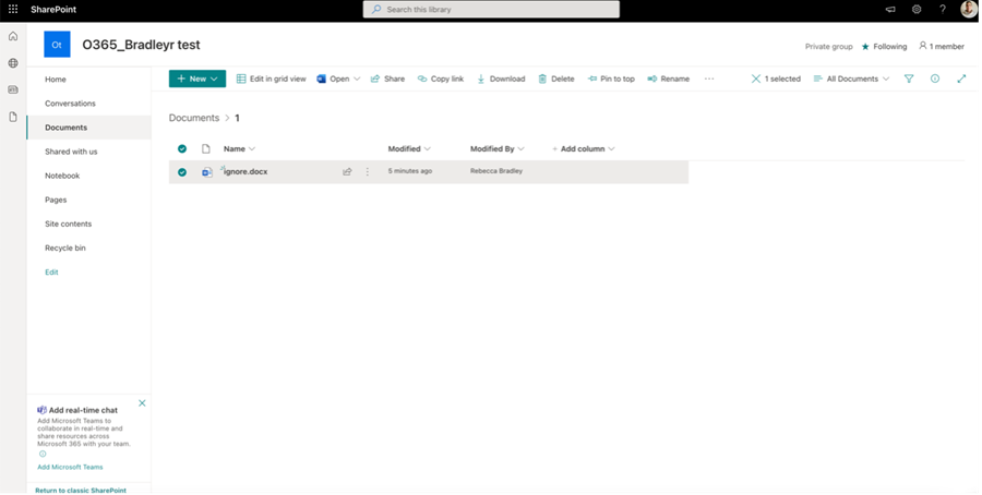 Documents view showing the contents of the 1 folder with ignore.docx highlighted