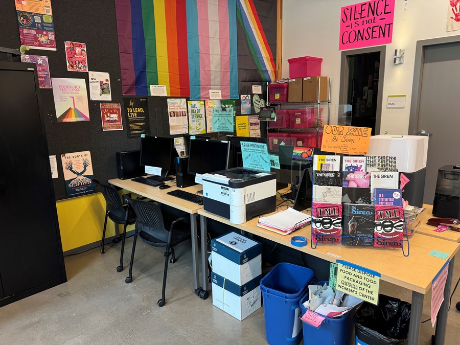 Image of women's center desks with two computers and a printer